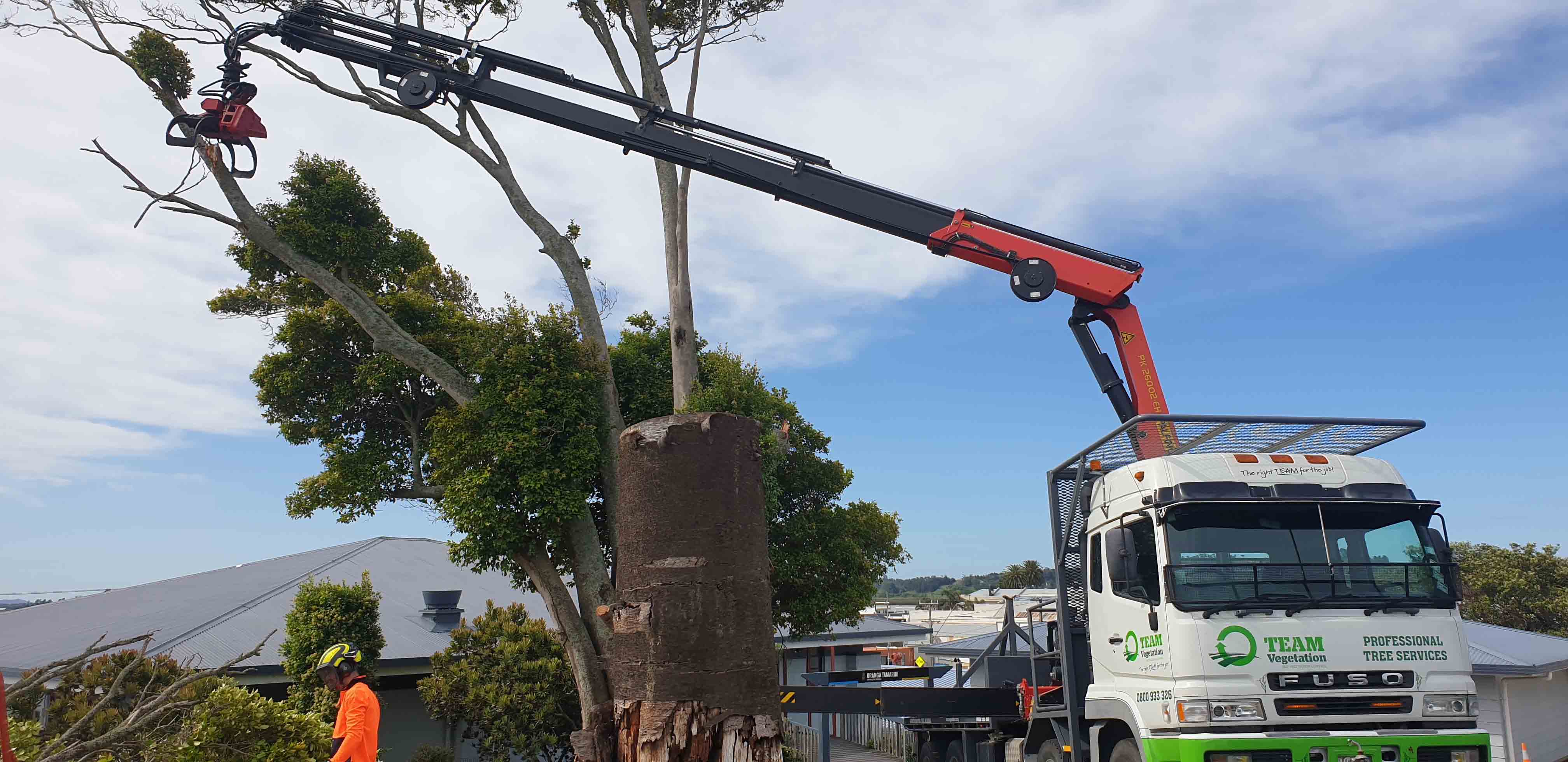 tree-services-auckland